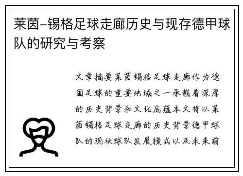 莱茵-锡格足球走廊历史与现存德甲球队的研究与考察